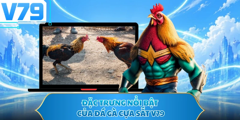 Đặc trưng nổi bật của đá gà cựa sắt V79