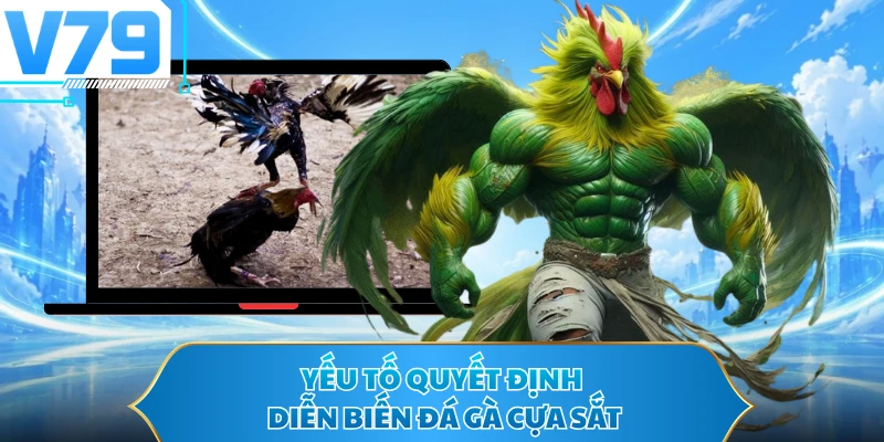 Yếu tố quyết định diễn biến đá gà cựa sắt hiện nay